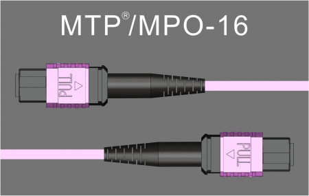 MPO-16 MMF - Cáp MPO-16 Array OM3 đến OM5 UPC Nữ đến Nữ